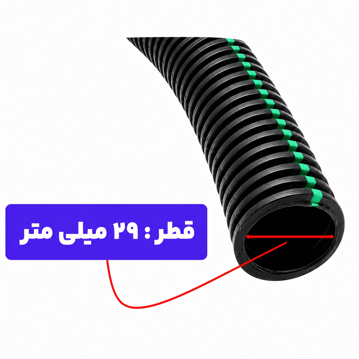 29-optimized (1)